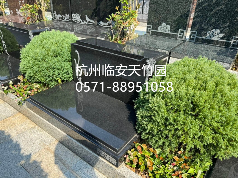 临安天竹园 (2).jpg
