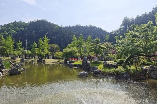 杭州临安福地·天竹园陵园全攻略：墓型价格、交通路线及春节祭扫安排